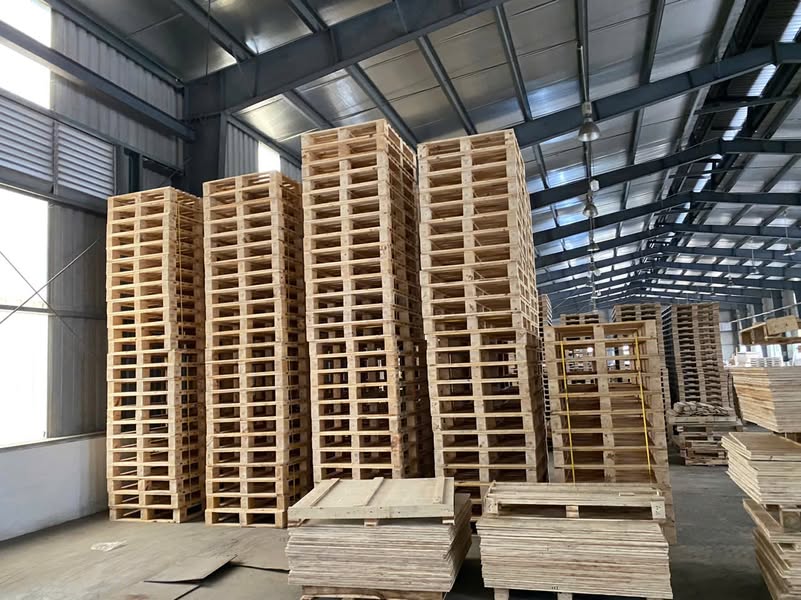 Pallet gỗ giá rẻ Hải Dương – Xưởng sản xuất trực tiếp | BNG